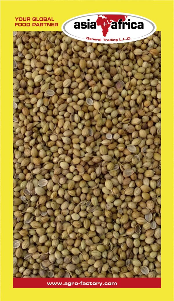 Akash Coriander Seeds