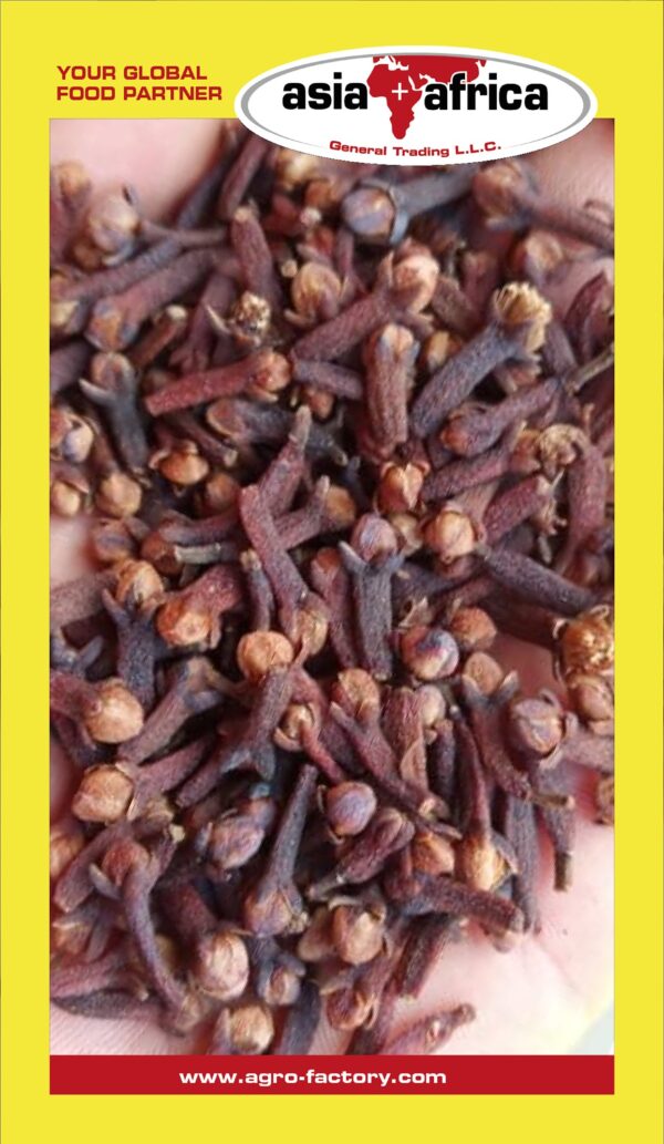 Akash Cloves