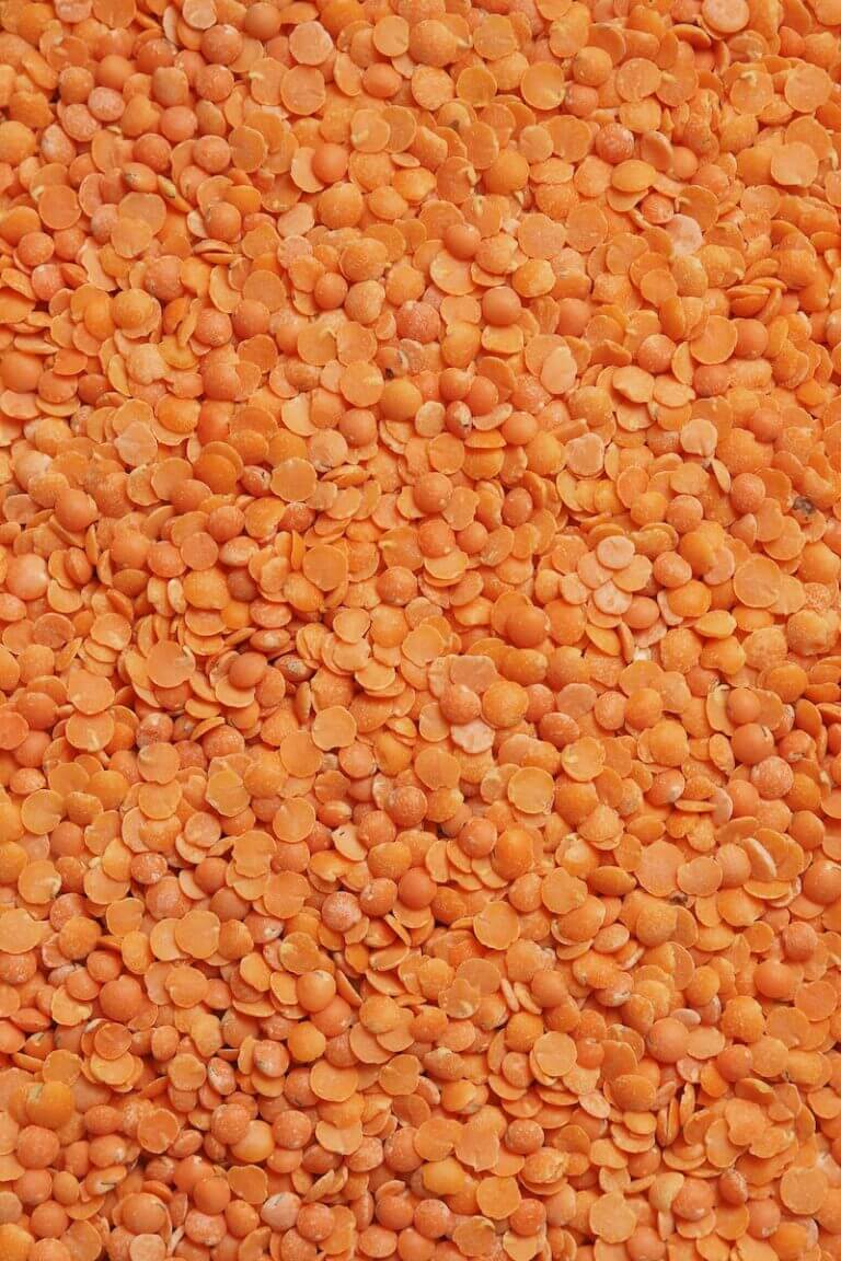 Lentils wholesale supplier in Dubai