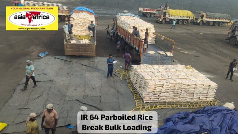 IR 64 Parboiled Rice Break Bulk Loading