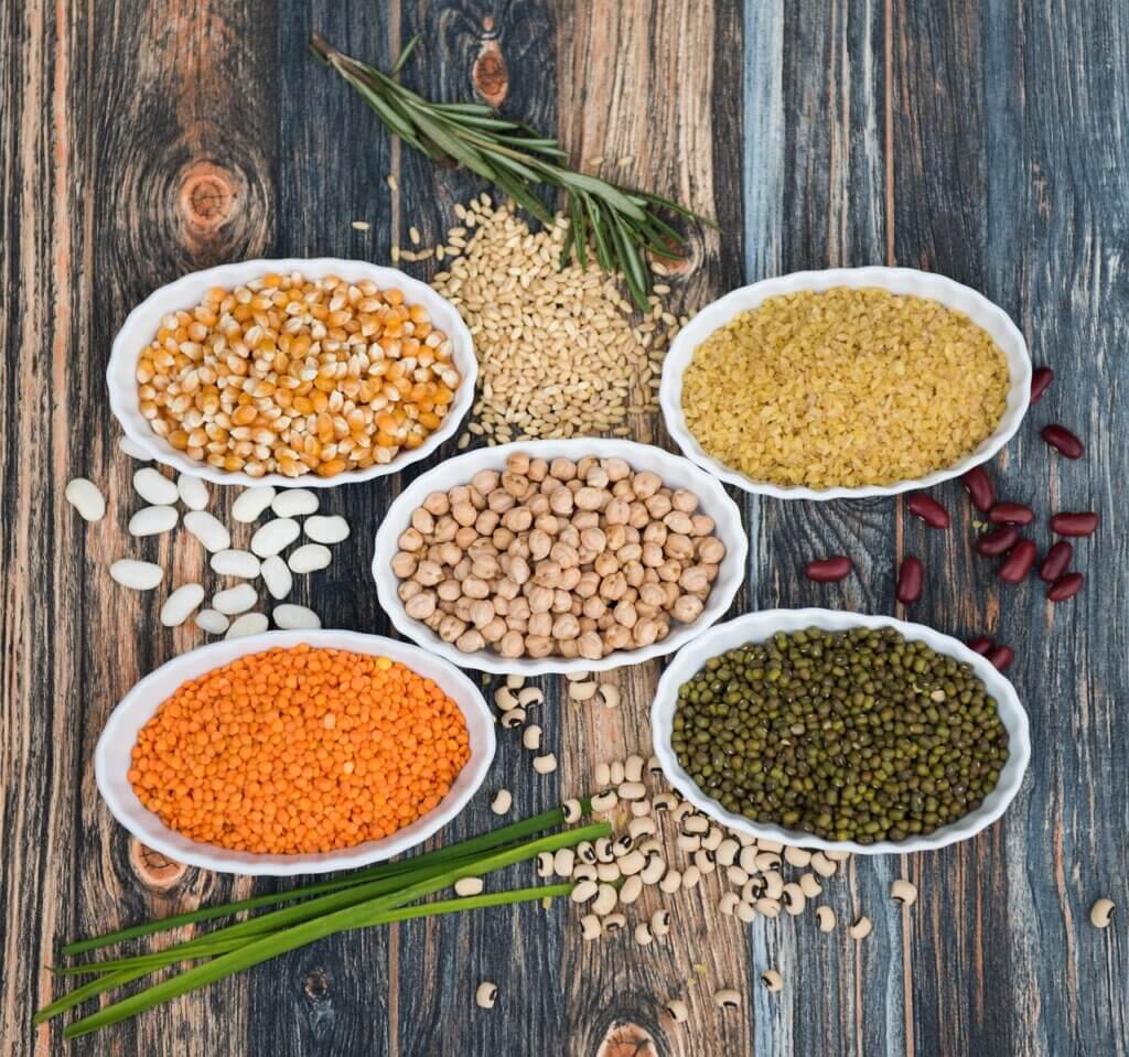 pulses, lentils, beans, food, legume, healthy, delicious, kitchen, indian, branch, oriental, chana, vegetarian, lenses, vegan, nutrition, fresh, bowl, natural, onion, asian, diet, brown, feeder, pulses, pulses, pulses, lentils, lentils, lentils, lentils, lentils