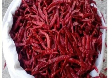 Red Chili Wholesale Supplier in China