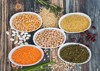 pulses, lentils, beans, food, legume, healthy, delicious, kitchen, indian, branch, oriental, chana, vegetarian, lenses, vegan, nutrition, fresh, bowl, natural, onion, asian, diet, brown, feeder, pulses, pulses, pulses, lentils, lentils, lentils, lentils, lentils