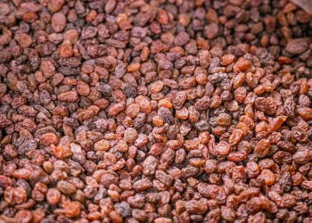 Raisins Wholesale Supplier